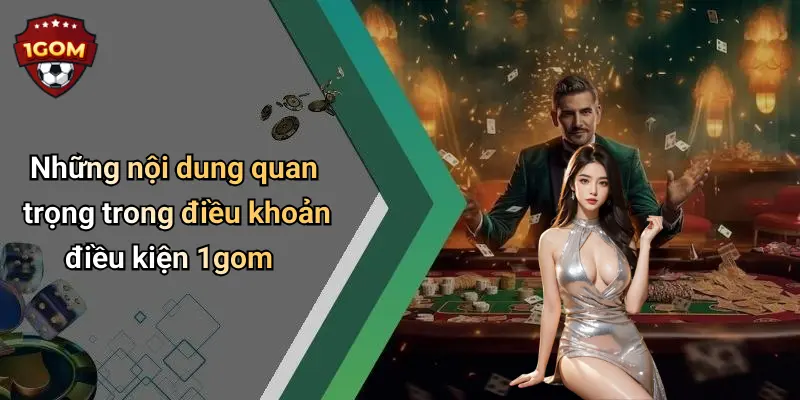 Những nội dung quan trọng trong điều khoản điều kiện 1gom